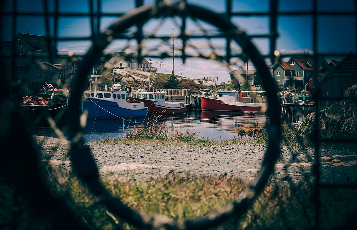 Framed Image for Preserving the Peggys Cove Area